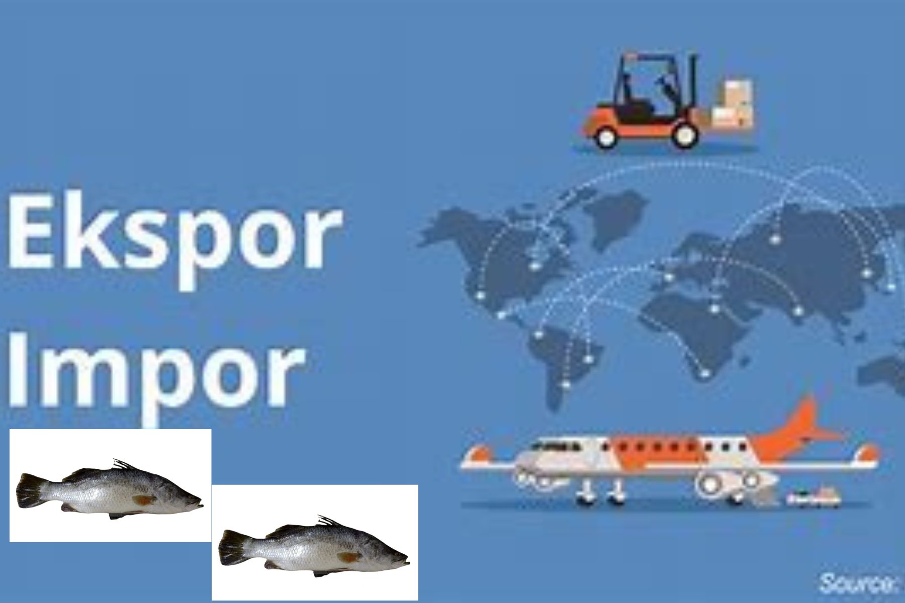 These are The Global Export and Import of Barramundi